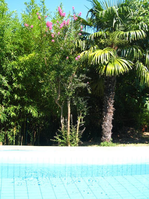 Apartment Apollonio Portoroz Ruang foto